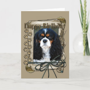 Glücklich zum Geburtstag - Stone Paws - Cavalier Karte