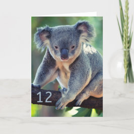 Glückliche 12. Geburtstag Australian Koala Grußkar Karte