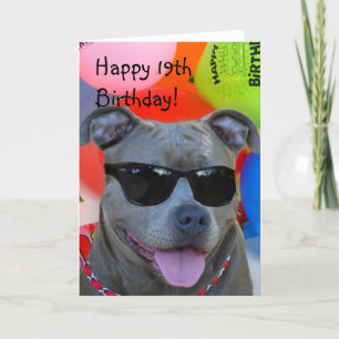 Glückliche 19. Geburtstag Pitbull Grußkarte Karte