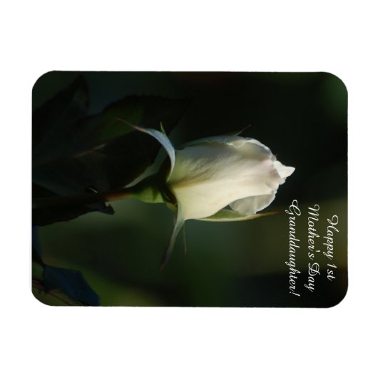 Glückliche 1. Muttertagskleiterin Magnet (Horizontal)