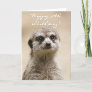 Glückliche 50. Geburtstag Meerkat Grußkarte Karte