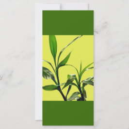 Glückliche Bambusgrün-Blätter behielt Ruhe beim Le