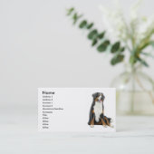 Glückliche Bernese GebirgshundeVisitenkarte Visitenkarte (Stehend Vorderseite)