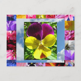 Glückliche Blume Postkarte