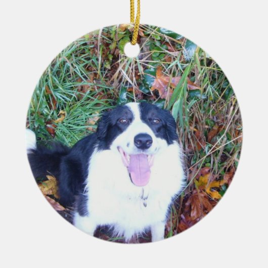 Glückliche Border-Collie Keramik Ornament (Vorne)