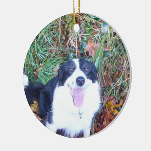 Glückliche Border-Collie Keramik Ornament (Links)