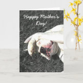 Glückliche Boxer-Grußkarte der Mutter Tagesweiße Karte (Gelbe Blume)