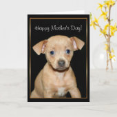 Glückliche chihuahua-Mops-Grußkarte der Mutter Karte (Gelbe Blume)