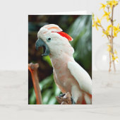 Glückliche Cockatoogrußkarte Karte (Gelbe Blume)