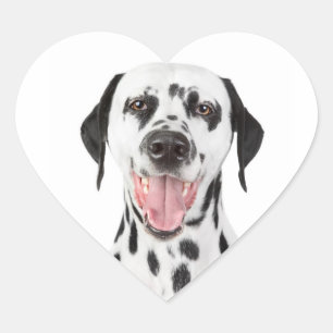 Glückliche Dalmatiner-Welpen-Hunde-Gruß-Aufkleber Herz-Aufkleber