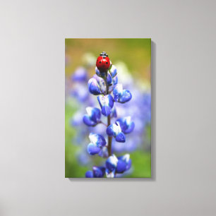 Glückliche Dame Leinwanddruck