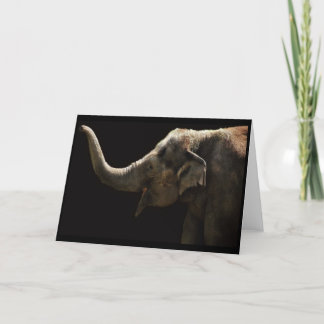 Glückliche Elefant-Leere Karte