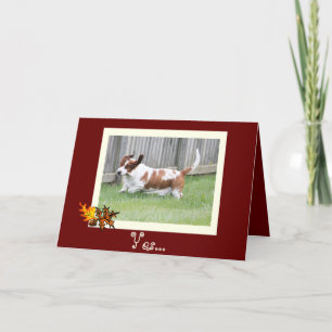 Glückliche Erntedank-Karte w/Basset u. Feiertagskarte