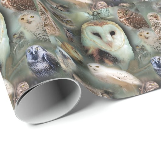 Glückliche Eulen Geschenkpapier (Rolleneckpunkt)