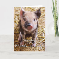 Glückliche Ferkel-Grußkarte der Mutter Tages