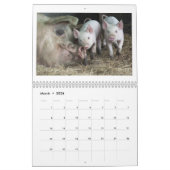 Glückliche Ferkel - Schwein-Kalender 2016 Kalender (Mär 2026)