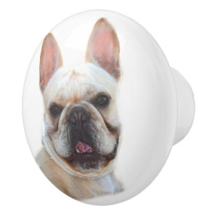 Glückliche französische Bulldogge Keramikknauf