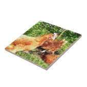 Glückliche freie Strecke Exbatterie Hühner Fliese (Seite)