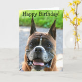 Glückliche Geburtstagskarte für Boxer Karte (Gelbe Blume)