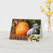 Glückliche Geburtstagskarte Pitbull Karte (Gelbe Blume)