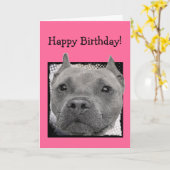 Glückliche Geburtstagskarte Pitbull Karte (Gelbe Blume)