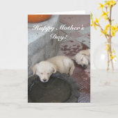 Glückliche golden retrieverwelpenkarte der Mutter Karte (Gelbe Blume)