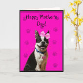 Glückliche Grußkarte Bostons Terrier der Mutter Karte (Gelbe Blume)