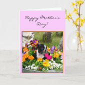 Glückliche Grußkarte Bostons Terrier der Tag der Karte (Gelbe Blume)