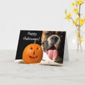 Glückliche Halloween Boxer Grußkarte Karte (Gelbe Blume)