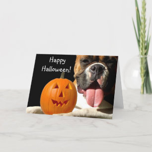Glückliche Halloween Boxer Grußkarte Karte