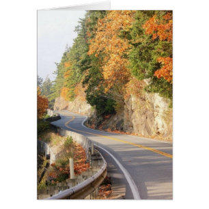 Glückliche Hinterkarte