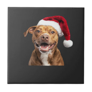 Glückliche Hunde an Weihnachten Lustige Hunde Clas Fliese