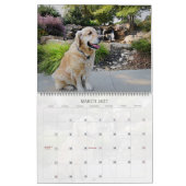 Glückliche Hunde Kalender Deutscher Hirte und mehr (Mär 2027)