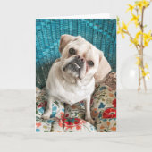 Glückliche Hundegruß-Karte Karte (Gelbe Blume)