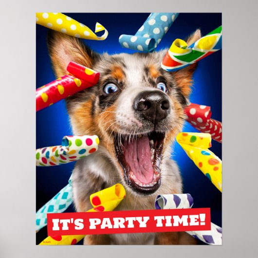 Glückliche Hundeparty-Tutgeräusche Poster (Vorne)