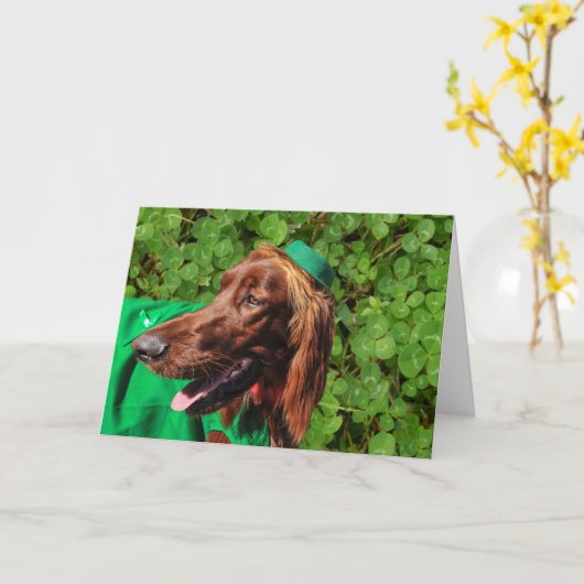 Glückliche Irish Setter St. Patrick's Day Grußkart Karte (Gelbe Blume)
