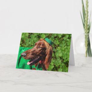 Glückliche Irish Setter St. Patrick's Day Grußkart Karte