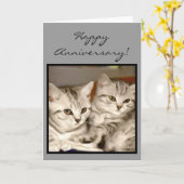 Glückliche Jahrestagtabby-Kätzchengrußkarte Karte (Gelbe Blume)