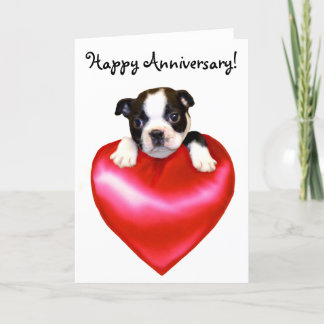 Glückliche Jubiläumsgrusskarte für Boston Terrier Karte