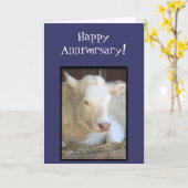 Glückliche Jubiläumsgrusskarte Karte (Gelbe Blume)