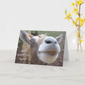 Glückliche Karte der Mutter der Ziege Tages (Gelbe Blume)