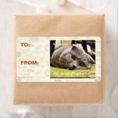 Glückliche Katze, aus Glück (Insitu)