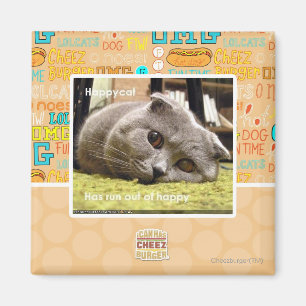 Glückliche Katze, aus Glück Magnet