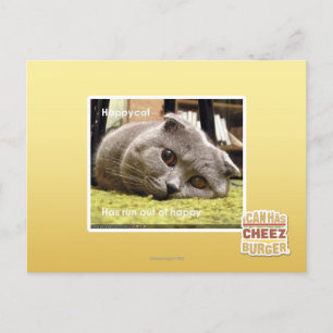 Glückliche Katze, aus Glück Postkarte