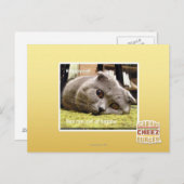 Glückliche Katze, aus Glück Postkarte (Vorne/Hinten)