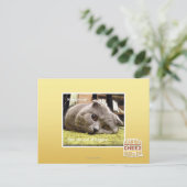 Glückliche Katze, aus Glück Postkarte (Stehend Vorderseite)
