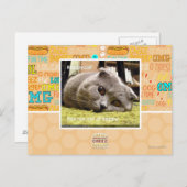 Glückliche Katze, aus Glück Postkarte (Vorne/Hinten)