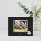 Glückliche Katze, aus Glück Postkarte (Stehend Vorderseite)
