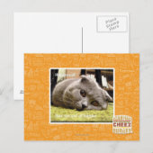Glückliche Katze, aus Glück Postkarte (Vorne/Hinten)