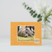 Glückliche Katze, aus Glück Postkarte (Stehend Vorderseite)